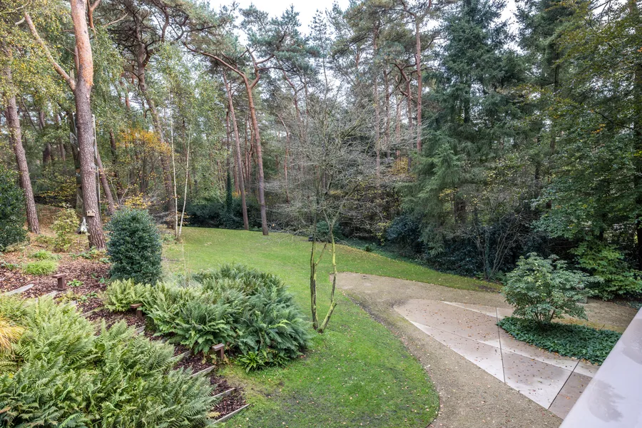 Luxury Dune Villa Amid Nature In Prime Location In Bosch En Duin